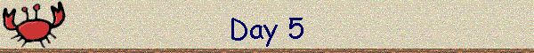 Day 5